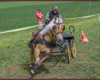 1POSIEUX 0552